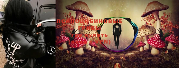 кристаллы Алзамай